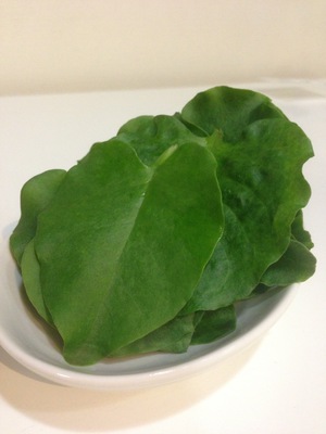 写真 2013-06-26 20 32 48.jpg